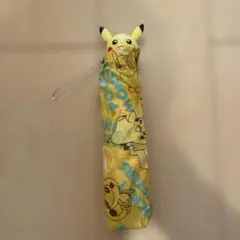 Item thumbnail for item f456819a-ced2-480b-a19b-9270c0ddf9a0