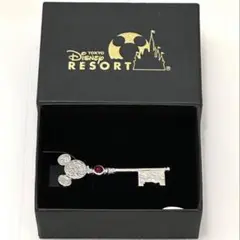美品　東京ディズニーリゾート 25周年　ネクタイピン 非売品 ディズニー 25周年記念 ネクタイピン ディズニーリゾート