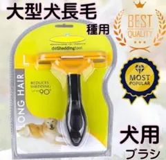 Item thumbnail for item 99862752-1512-46e6-a3ad-8b04f2dc3b1e