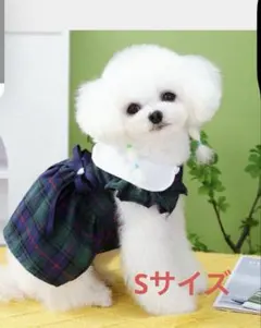 Item thumbnail for item afae9f96-7096-446d-8e5f-223fd8e5a0c5