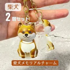 Item thumbnail for item e4c187e8-cc8c-46b1-bc4c-ca6c44719f7e