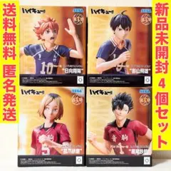 ハイキュー!! 日向翔陽 孤爪研磨 黒尾鉄朗 木兎光太郎 山口忠