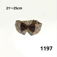 Item thumbnail for item 0e349b7e-13cd-41f8-9107-fdf9cefe4c85