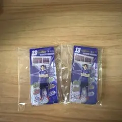 サンフレッチェ広島　25プレーヤーズブリスター風キーチェーン#13新井直人