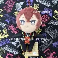 【匿名配送】ツイステ EXぬいぐるみ リドル