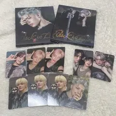 &TEAM CD Back toLife　アルバム　トレカ　GAZE ニコラス