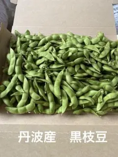 兵庫県産 丹波黒豆 枝豆 抜き苗 5本 固定種苗 実生苗 苗 農薬不使用