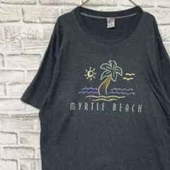 USA製90sヴィンテージTシャツ！シングルステッチグレー古着L0520