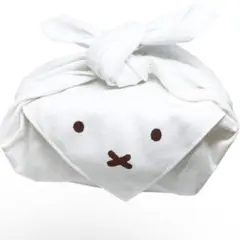 Item thumbnail for item 0891a58a-291e-4285-879c-2fc3b49589b1