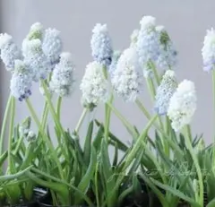 山川和久様 リクエスト 3点 まとめ商品