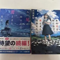 汐見夏衛　小説セット