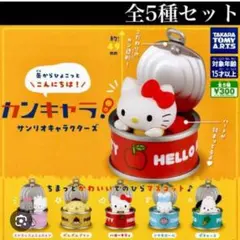 サンリオキャラクターズ カンキャラ！ カプセルトイ 2点セット