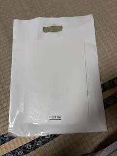 Item thumbnail for item 9691fef0-1500-4561-ac77-a31228a2f985