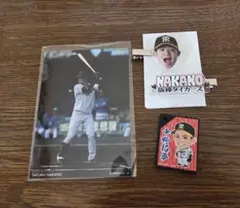 Item thumbnail for item 3312aacc-4ee6-407f-b2a5-6aa9091ee8f2