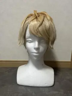 DIABOLIC LOVERS 逆巻シュウ ウィッグ