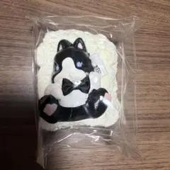 Item thumbnail for item c91774e8-18e4-47c8-8570-21b182f6c80d