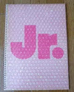 Item thumbnail for item 81017dab-77cd-4ddf-ad4e-2bf0b0f1dbfc