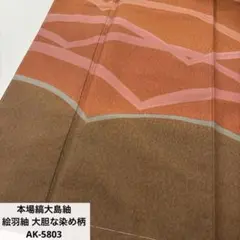 本場縞大島紬 絵羽紬 大胆な染め柄 正絹 AK-5803