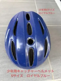 Item thumbnail for item 0de40c27-7bb7-4d31-90e5-f6ce9d1bd92d