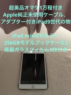 超美品iPad mini 第5世代 Cellular 256GBオマケ沢山付き