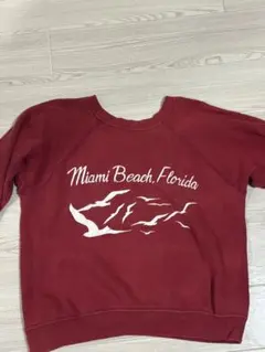 80s champion トリコタグ　 USA製　スウェット