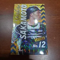 阪神タイガース 坂本誠志郎 キラシール