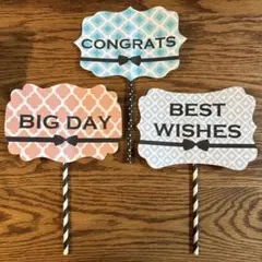 Item thumbnail for item 1b94ccef-3dff-42ba-9011-96662cb999b5