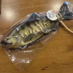 Item thumbnail for item 706d1b20-8868-46d1-a59d-43e95433208b