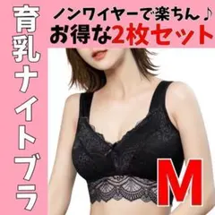 Item thumbnail for item 0251e7f2-3795-4591-b54e-d8c49c92f456