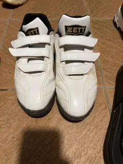 Item thumbnail for item 9eee8359-f460-4bbf-8ea4-99777598f3be