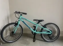 Bianchi Pirata 子供用自転車　20インチのサムネイル
