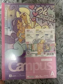 ディズニー プリンセス ノート 新品