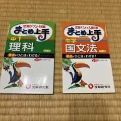 Item thumbnail for item 995269f6-49af-4ee4-a35f-94831d8fac55