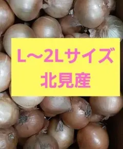 naochan様専用　北見産　玉ねぎ　L～2Lサイズ　20キロ