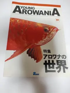 熱帯魚　アロワナ　写真集　ヤングアロワニア　01