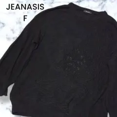 JEANASIS ジーナシス パターンキリカエメッシュプルオーバー 黒 F
