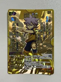 2025年最新】イナズマイレブンカードの人気アイテム - メルカリ