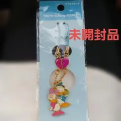 東京ディズニーリゾート　ペアストラップ