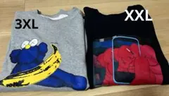 カウズ　ウォーホル　スウェットシャツ2点セット