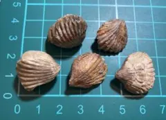 yskoii045様 リクエスト 2点 まとめ商品