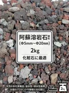 人気 天然石 化粧石 阿蘇溶岩石 2kg アガベ 塊根のサムネイル