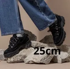 ナイキ　ラハールロー　ブラック　25cm