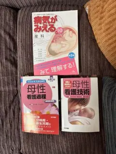 Item thumbnail for item 1a506897-a91e-4c16-be60-e739482ded8c