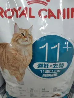 ROYAL CANIN 11歳以上 避妊・去勢猫用