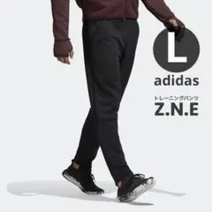 Item thumbnail for item 89c78035-5f1e-49c8-8d52-0de08e8b3654