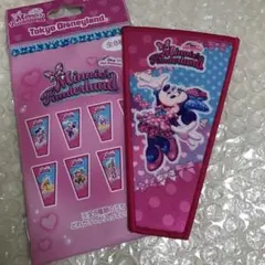 ディズニー パルパルーザ ワッペン