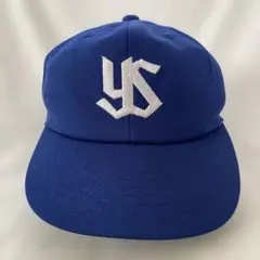 貴重？ホージー 太郎 サイン入り 平成 レトロ90s ヤクルトスワローズ
