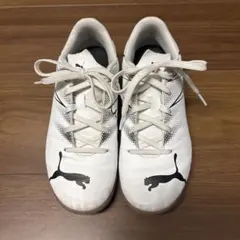 Item thumbnail for item 3b8dfac0-4d57-4dbc-ad75-8bd044c61266