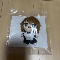 セガラッキーくじ名探偵コナンD賞ぬいぐるみ灰原哀