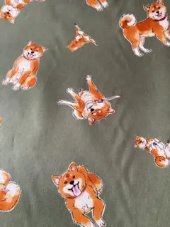 和柄柴犬緑
